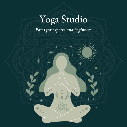 Yoga Studio: Poses for experts and beginners