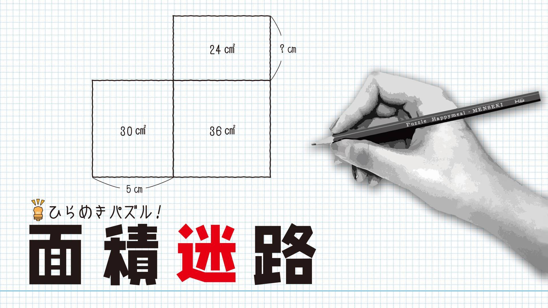 灵感拼图！面积迷宫