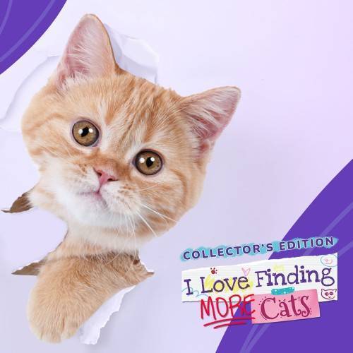 I Love Finding MORE Cats! - Collector's Edition-G1游戏社区